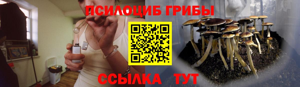 Алейск  Псилоцибиновые грибы Psilocybine cubensis  Вход с VPN 